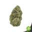 Blue Biscotti Buds 3.50 Gram