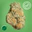 Black Cherry Gmo Buds 14 Gram