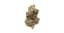 Push Pop Buds 3.50 Gram