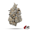 Trash Buds 3.50 Gram