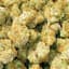 Papaya Buds 3.50 Gram