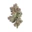 Galactic Warheads Buds 3.50 Gram