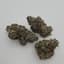 White Truffle Buds 3.50 Gram