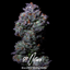 91 Octane Buds 3.50 Gram