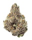 Gary Payton Buds 3.50 Gram