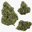 Freezer Jam Buds 3.50 Gram