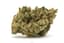 Gelato 33 Buds 3.50 Gram