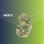 Mercy Buds 7 Gram