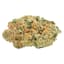 Mimosa Buds 7 Gram