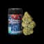 Motorbreath Buds 14 Gram
