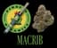 Macrib 1 Gram Pre Rolls Single 1 Pack