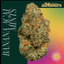 Banana Acai Mints Buds 3.50 Gram