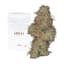 Hashburger Buds 14 Gram