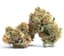 Og Runtz Buds 3.50 Gram