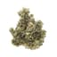 Gush 3.50 Gram Flower