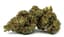 Gone Bananas Buds 14 Gram