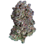Platinum Gas Buds 7 Gram