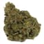 Exotic Gas Buds 7 Gram