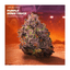 Purple Dump Truck Buds 3.50 Gram
