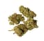Gumbo Buds 28 Gram