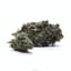 Gary Payton Buds 3.50 Gram