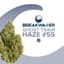 Ghost Train Haze Buds 7 Gram