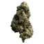 Cherry Diesel Buds 7 Gram