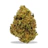 Williams Wonder Buds 3.50 Gram
