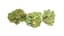 Grasshopper Buds 14 Gram