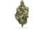 Headbanger Buds 3.50 Gram
