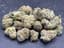 Purple Milk Buds 1 Gram