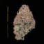 Permanent Marker Buds 14 Gram