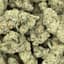 Cap Junky Buds 3.50 Gram