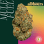 Mule Fuel Buds 3.50 Gram