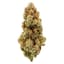 El Jefe Buds 28 Gram