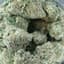 Permanent Power Buds 14 Gram