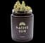 Mac 1 Buds 3.50 Gram