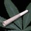 Honey Banana 10 Pack Pre Rolls 5 Gram