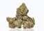 Lemon Oreoz Buds 2 Gram
