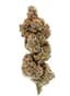 Overtime Buds 28 Gram