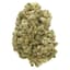 Sourdough Buds 14 Gram