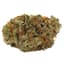 Slow Lane Buds 28 Gram