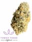 Mango Buds 3.50 Gram