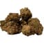 Space Race Buds 7 Gram