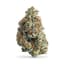 Bomb Pop Buds 1 Gram
