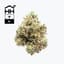 Chem 91 Buds 3.50 Gram