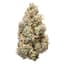 Blue Dream Buds 7 Gram