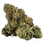 Cloud Berry Buds 3.50 Gram