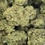 Durban Poison Buds 3.50 Gram