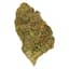 Apple Jack Buds 28 Gram